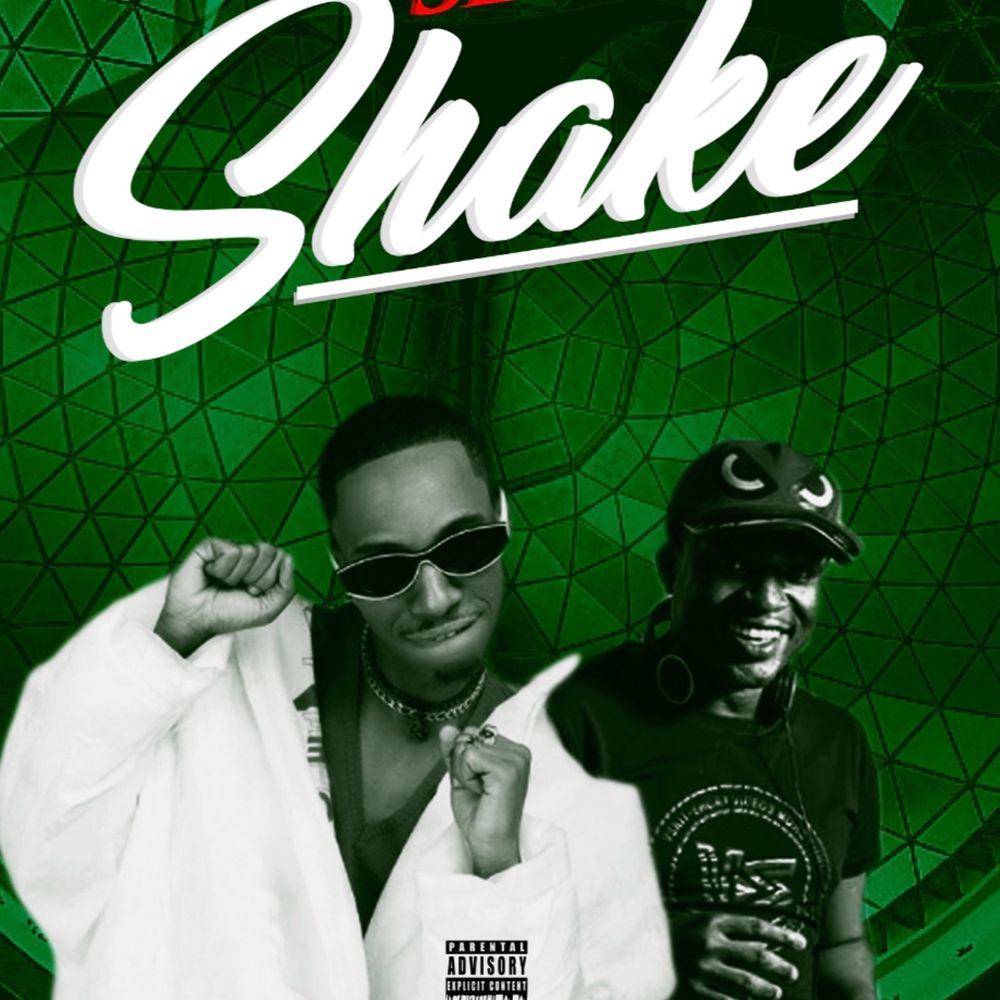 shey e dey shake artwork